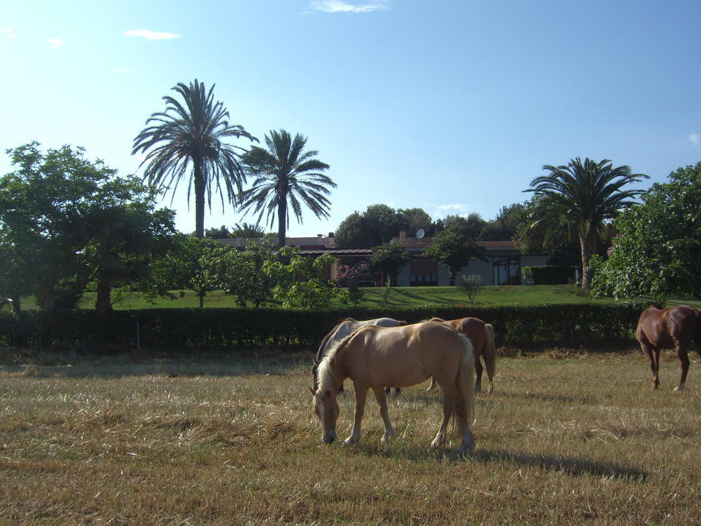 ElmasSanta Igia - Country House住宿加早餐旅馆 外观 照片