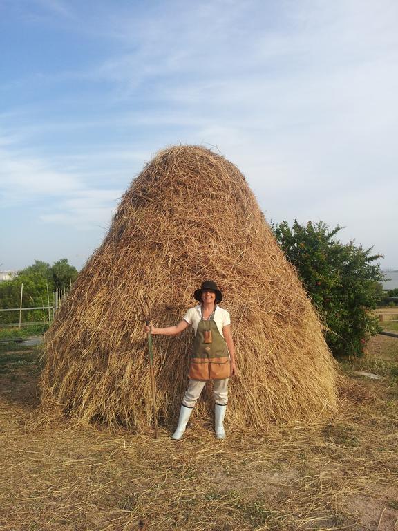 ElmasSanta Igia - Country House住宿加早餐旅馆 外观 照片