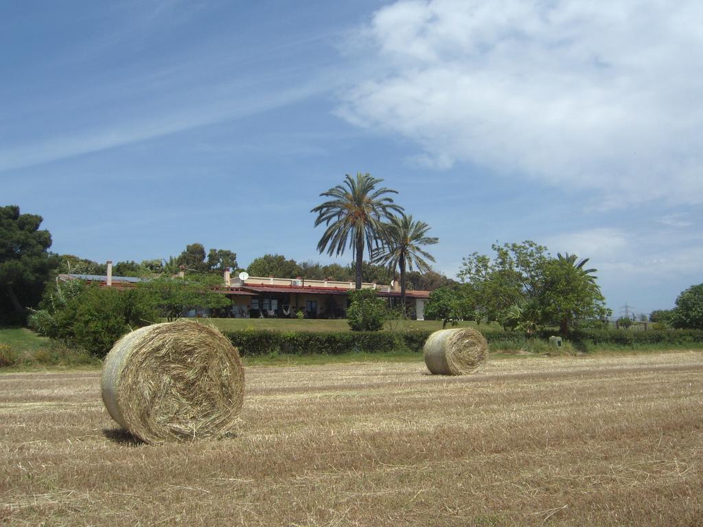 ElmasSanta Igia - Country House住宿加早餐旅馆 外观 照片