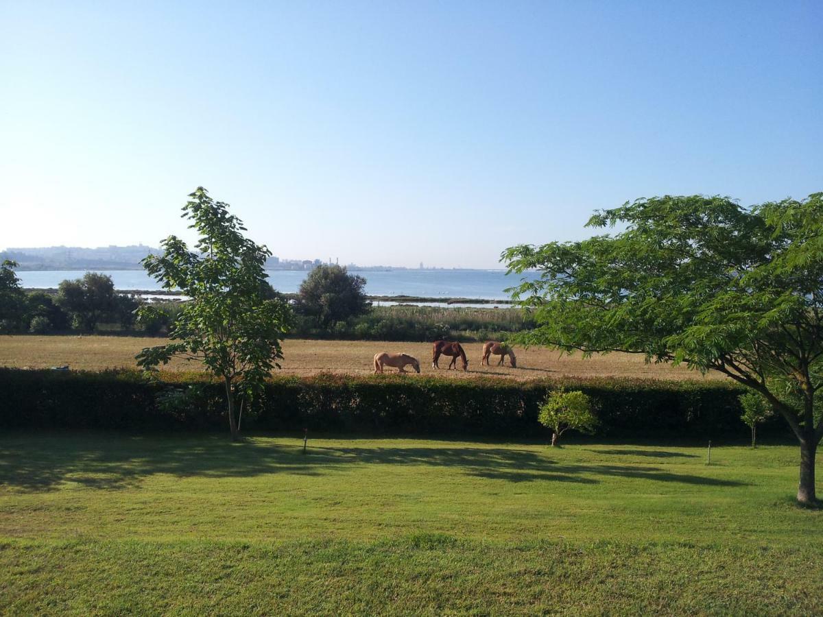 ElmasSanta Igia - Country House住宿加早餐旅馆 外观 照片