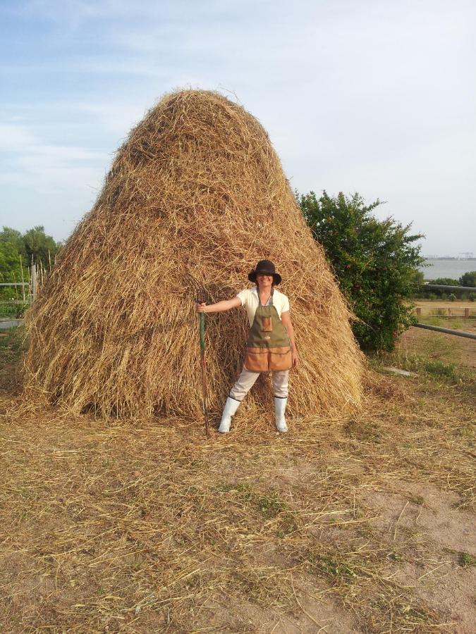 ElmasSanta Igia - Country House住宿加早餐旅馆 外观 照片